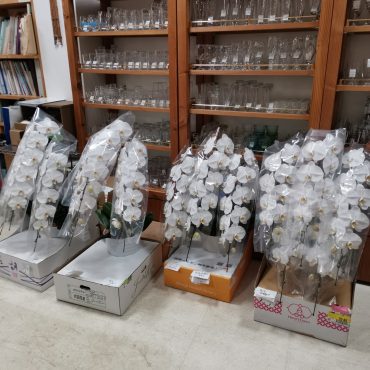 5月も終わり。。。|「花＆器　ぐんきん」　（岩手県北上市の花屋）のブログ