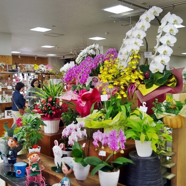 「花＆器　ぐんきん」　（岩手県北上市）の花屋店舗写真1